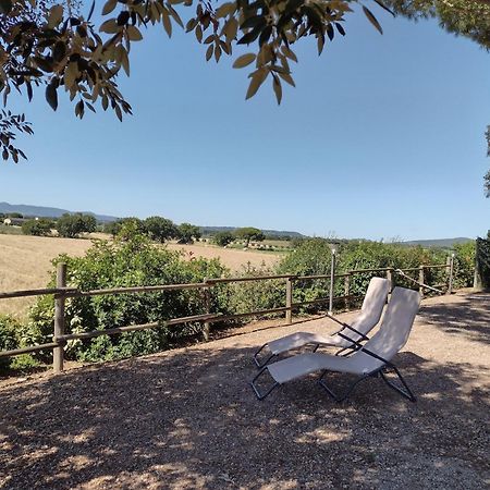 Agriturismo I Debbi Bibbona Eksteriør billede