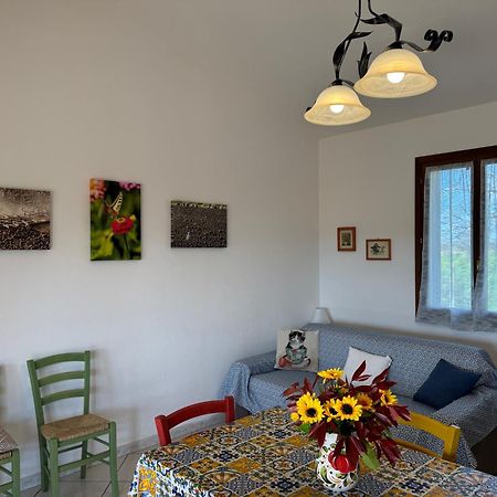 Agriturismo I Debbi Bibbona Eksteriør billede