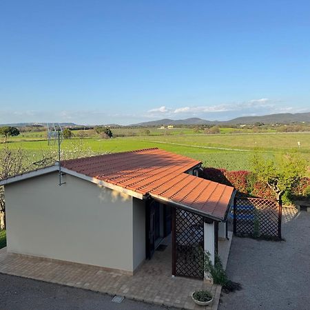 Agriturismo I Debbi Bibbona Eksteriør billede
