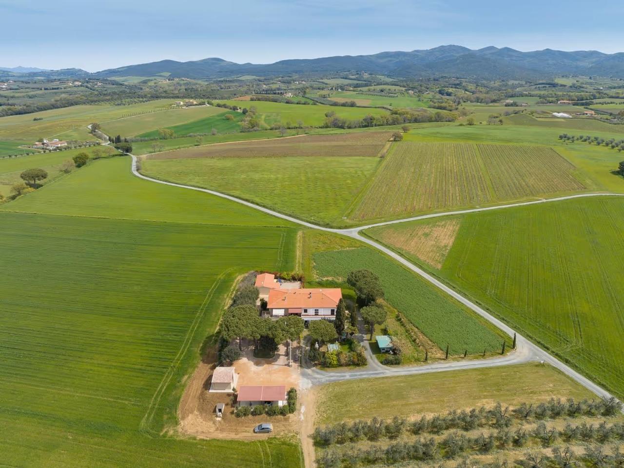 Agriturismo I Debbi Bibbona Eksteriør billede