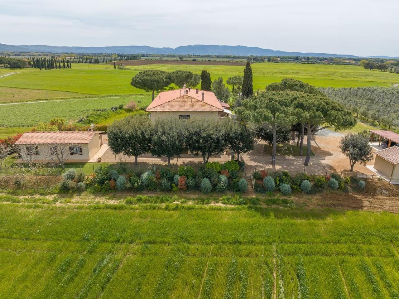 Agriturismo I Debbi Bibbona Eksteriør billede