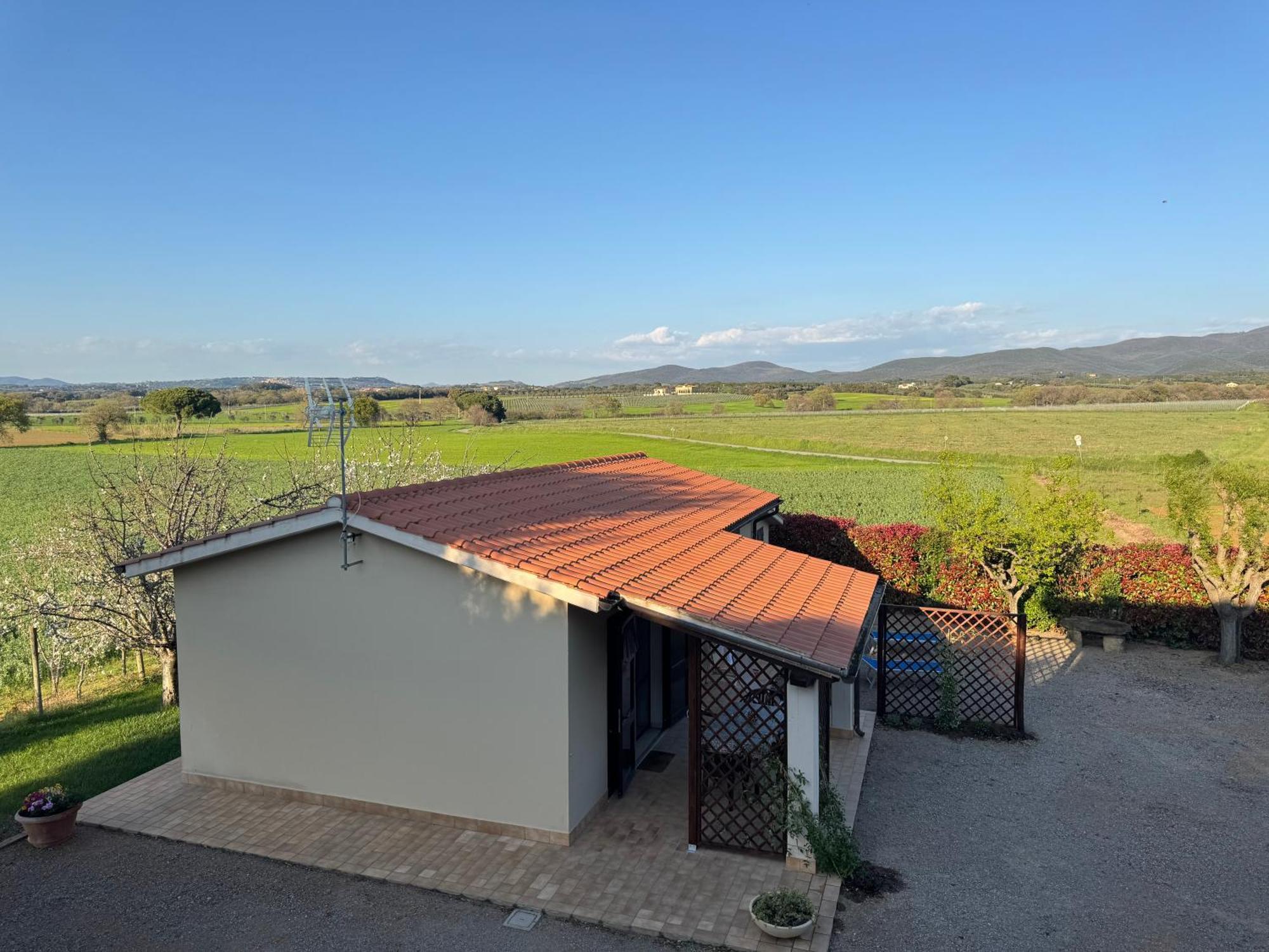 Agriturismo I Debbi Bibbona Eksteriør billede
