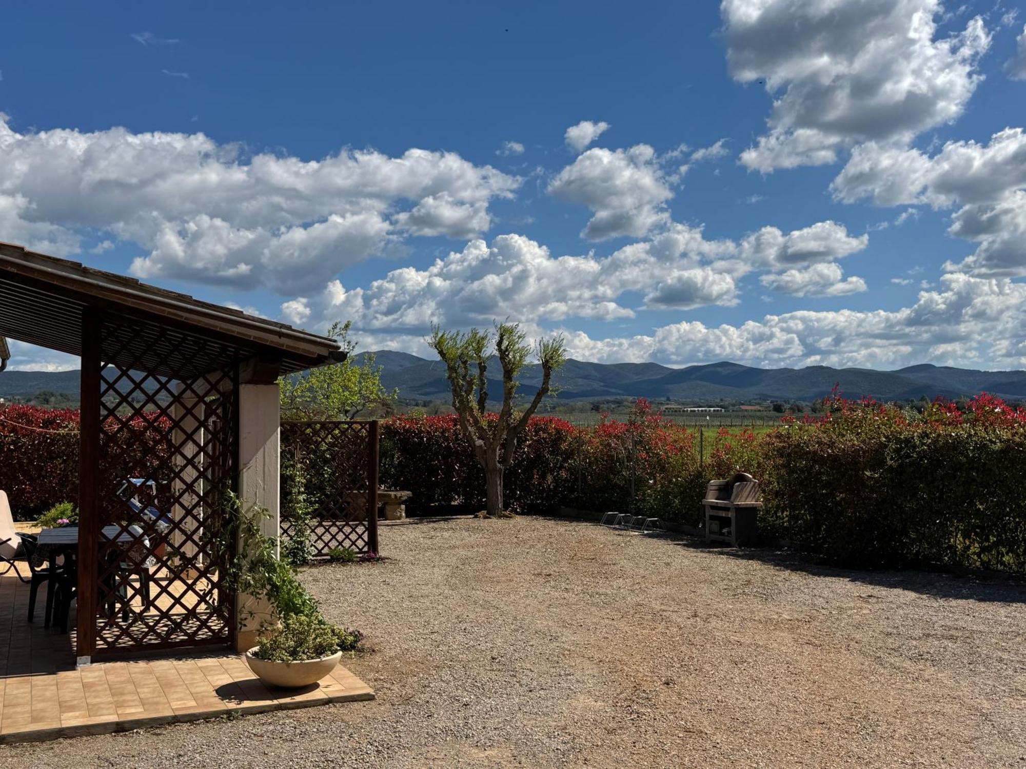 Agriturismo I Debbi Bibbona Eksteriør billede